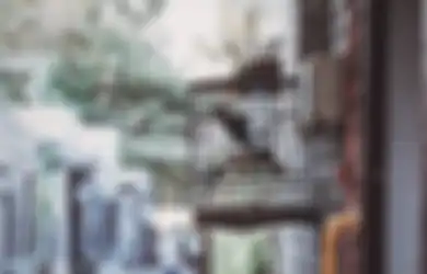 Bawa Sangkar Burung Usai Datangi Acara Syukuran, Berkat Jemaah Pengajian Ini Langsung Viral di TikTok