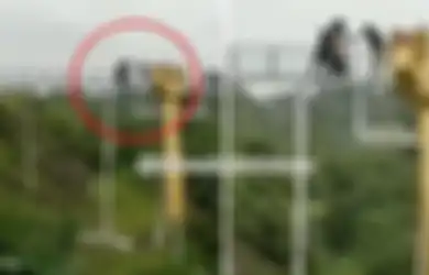 Jembatan Kaca di Banyumas Pecah, 1 Wisatawan yang Asyik Swafoto Meninggal, Pengelola Siap Tanggung Jawab?