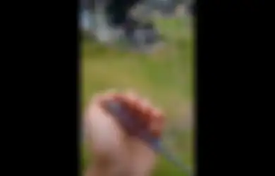 Diterbangkan Saat Hujan, Benang Layangan Keluarkan Aliran Listrik di Sumatera Utara Viral di TikTok, Ini Penjelasannya