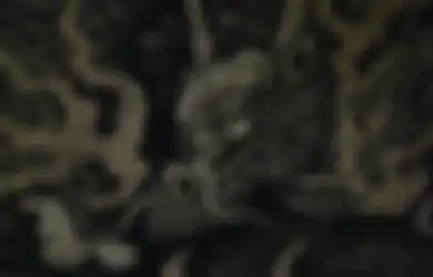 Kekuatan Khodam Naga, Makhluk dengan Kekuatan Istimewa yang Bawa Keberuntungan Tinggi