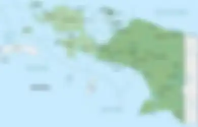 Dari Sorong ke Seluruh Papua, Ini Sejarah Partai Sama-Sama Manusia (SSM) yang Membela Hak-Hak Orang Papua