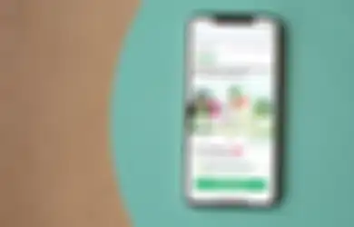 Mau Hemat Ongkir Pas Promo 11.11 di Tokopedia? Yuk, Langganan Paket Ini Dulu
