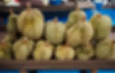 Dikira Sukun, Penampakan Buah Durian tanpa Duri Viral di TikTok, Begini Potretnya!