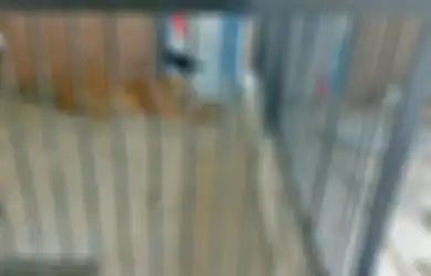 Firasat Istri sebelum Suami Tewas Diterkam Harimau di Samarinda: Jadi Lebih Manja