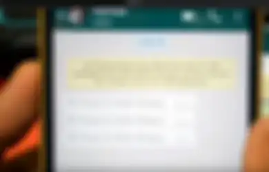 Penasaran Pesan WhatsApp Apa Yang Sudah Dihapus? Ini Cara Mengintipnya