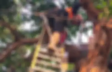 Meninggal di Atas Pohon Mangga, Jenazah Pria Kediri Baru Bisa Diturunkan Setelah Satu Jam, Berikut Kronologinya
