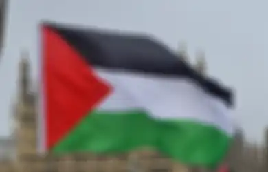 Banyak Negara yang Tidak Mengakui Israel sebagai Negara, Apa Dampaknya bagi Hubungan Internasional dan Perdamaian Dunia?