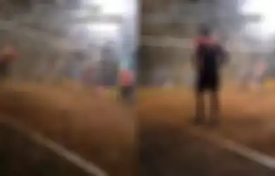 Viral di TikTok Pemain Voli Diserbu Laron tapi Tetap Fokus Bertanding, Netizen: Info Pengendali Laron