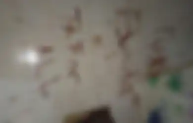 Ditulis dengan Warna Merah, Ini Hasil Analisa Pakar Soal Pesan Janggal di TKP Pembunuhan 4 Anak di Jagakarsa, Singgung 2 Kemungkinan