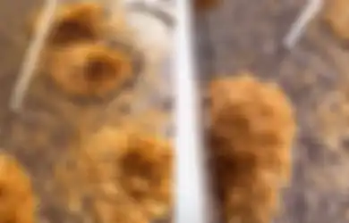Kumpulan Laron Membentuk Kerumunan Bak Bunga Viral di TikTok, Penampakannya Bikin Netizen Alami Trypophobia 