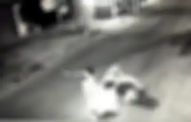 Todong Korban Pakai Senjata Tajam, Aksi Komplotan Begal di Depok Gagal karena Hal Ini