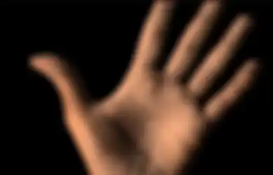 9 Garis Tangan Lurus yang Dipercaya Punya Kesaktian Dahsyat Si 'Raja Keling'