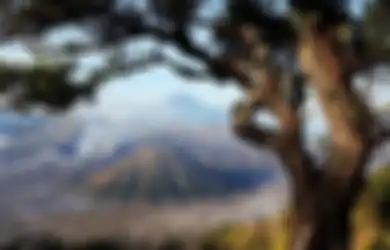 17 Quotes Tentang Gunung Bromo, Destinasi Wisata yang Diburu Wisatawan saat Libur Nataru