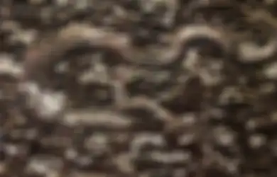 Pantangan dalam Memelihara Khodam Naga, Sekali Malas-malasan Langsung Murka