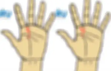 6 Garis Tangan Ini Bisa Menentukan Karier Masa Depanmu