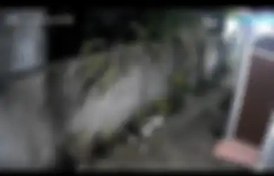 Rekaman CCTV Pria Lempari Batu dan Sampah ke Rumah Tetangga Ini Viral di TikTok, Ternyata Gegara Warisan: Saya Pernah Diancam Dibacok...