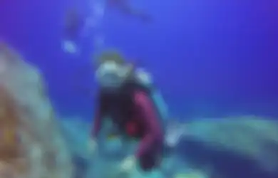 Sahabat Tercinta Hobi Diving? Beri Kejutan Berupa Hadiah Ini Agar Menunjang Passionnya