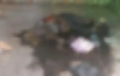 Geger Mayat Wanita yang Nyaris Jadi Kerangka Ditemukan dalam Peti Kemas di Pelabuhan Tanjung Priok, Polisi Selidiki Asal Usulnya