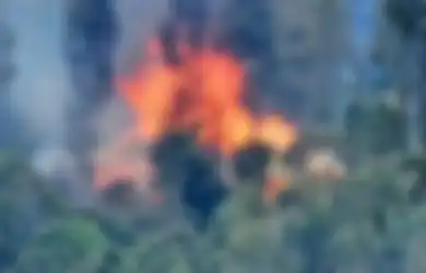 Terus Tebar Teror, KKB Papua di Intan Jaya Brutal Bakar 4 Rumah Bantuan Dinsos, Kasatgas Humas Ops Damai Cartenz Buka Suara