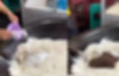 Beri Garam Sebungkus hingga Dicampur Taoge, Cara Unik Pedagang Masak Nasi Goreng Ini Viral di TikTok