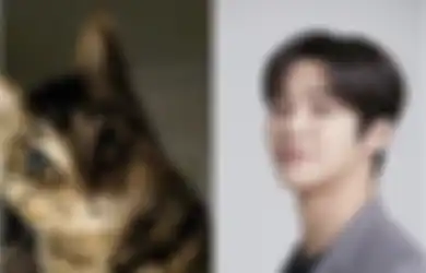 Rowoon Iklaskan Kematian Kucing Kesayangan yang Dipelihara 18 Tahun