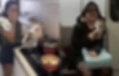 5 Tanggal Lahir yang Paling Cinta dengan Hewan Kucing, Sampai Dianggap Anak Sendiri!