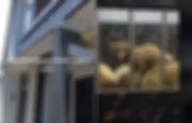 Kandang Domba Mewah di Banjarnegara Viral di TikTok, Pemilik Habiskan Dana Rp 500 Juta untuk Membuatnya, Intip Potretnya