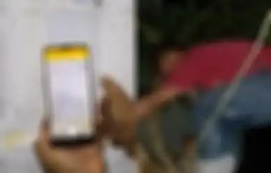 Panjat Pohon hingga Pergi ke Bukit, Begini Perjuangan Anggota KPPS Demi Unggah Hasil Penghitungan Suara ke Aplikasi Sirekap
