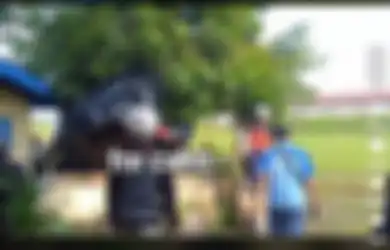 Terbang 10 Meter dari Jalan Raya, Video Sebuah Mobil Tersangkut di Pohon Ini Viral di TikTok