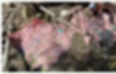 Video Jemur Uang Rp 30 Juta Viral di TikTok, Harta Basah Semua Akibat Rumah Kebanjiran, Ketemu Setelah Seminggu Dicari 