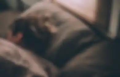 20 Ide Hadiah yang Cocok Diberikan untuk Orang yang Hobi Tidur, Hal Ini Bisa Jadi Pertimbangan