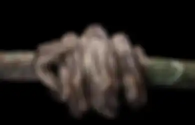 Arti Mimpi Dililit Ular di Kaki Menurut Primbon Jawa, Pertanda Rezeki?