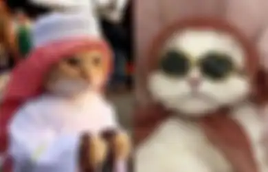 LINK Download Gambar Foto Kucing Ramadan, Ada yang Berhijab hingga Pakai Peci, Tak Heran Viral di TikTok