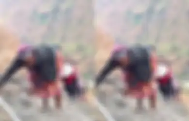 Naik Gunung Rinjani Tanpa Alas Kaki, Sosok Nenek Ini Viral, Tujuannya Terungkap