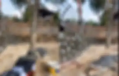 VIDEO Pawang Buaya Berupaya Ambil Telur si Reptil Viral di TikTok, Tetap Tenang Meski 2 Kali Nyawa Nyaris Melayang