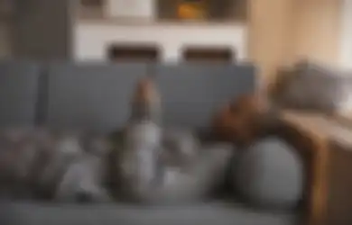Viral di TikTok, Apa Arti Kata Moncer yang Sering Muncul dalam Judul Berita?
