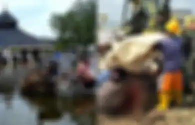 Kades Sembelih Wedhus Kendit di Dekat Tanggul Jebol Penyebab Banjir Demak, Bupati: Seribu Kambing pun kalau Tidak Ditambal ya Tetap Banjir...