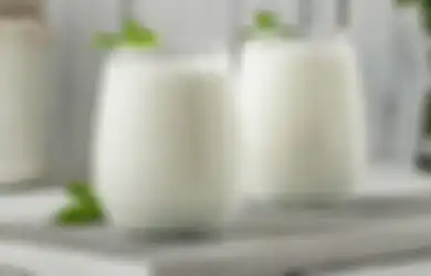 Cuma 5 Menit Resep Minuman Ayran, Minuman Yoghurt asal Turki