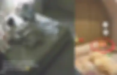 Data Diri Pengasuh Anak Aghnia Punjabi, Tega Siksa Cana Selama 1 Jam hingga Babak Belur, Punya Riwayat Menyiksa Balita