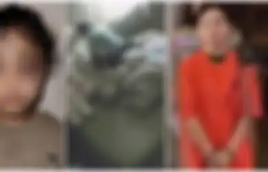 Makna Istilah Psikopat yang Kini Viral, Disematkan ke  Pengasuh Anak Aghnia Punjabi Setelah Terbukti Lakukan Penganiyaan
