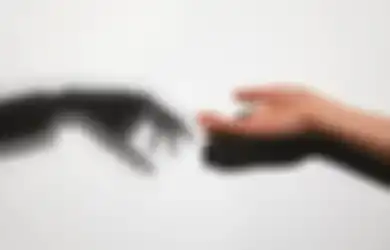 Mimpi Bersalaman dengan Orang yang Sudah Meninggal Pertanda Apa?