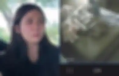Digaji sampai Rp10 Juta Per Bulan, IPS Malah Aniaya Anak Aghnia Punjabi Hingga Babak Belur, Ribuan Pekerja dari Yayasan Terdampak!