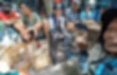 3 Weton yang Cepat Sukses Jika Jadi Penjual Burung Kicau