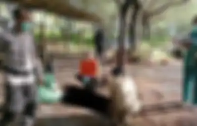 Misteri Kematian Gita Sivani yang Jasadnya Dibuang ke Pantai Lorong Cemoro, Korban Ternyata Dibunuh Mantan Pacar Karena Hal Ini