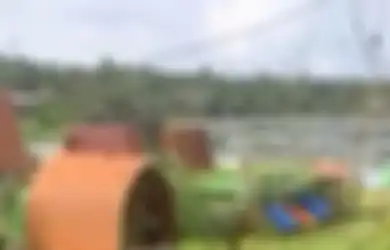 Viral di TikTok Fenomena Ratusan Laba-laba Serbu Tiang Listrik di Bali, Pertanda Apa?