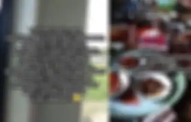 Warung Tak Ada yang Buka saat Lebaran, Viral Sopir Bus Rute Palu-Makassar Ajak Penumpang Makan Gratis di Rumah Mertua
