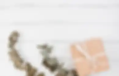 Istimewa Abis! Inilah 20 Ide Hadiah untuk Pasangan Penggemar Primata, Salah Satunya Aksesoris Rumah