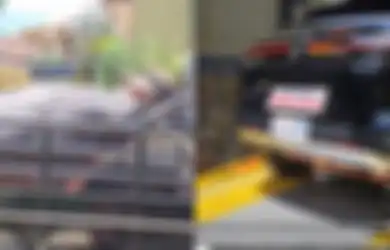 Viral Pria Pati Bawa Seserahan Kerbau, PCX, HRV, dan Uang Ratusan Juta Rupiah, Terungkap Nama Pengantin