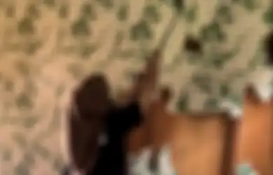 Viral di TikTok, TikToker Ini Hancurkan Rumahnya Usai Pergoki Suaminya Selingkuh, Total Ada 20 Wanita