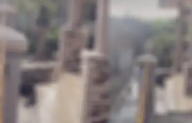 Viral di TikTok Seekor Buaya Datangi Teras Rumah Warga di Bandung, Mulutnya Setengah Terbuka, Kemunculannya Jadi Sorotan